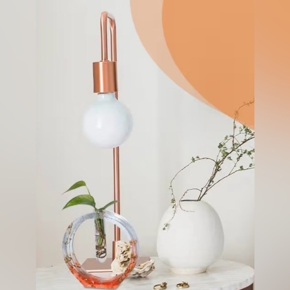 Plant Propogator Circular Plant Holder w/Tube | OS - Picture 6 of 6